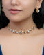 Alveena Choker And Heena Long Earrings Polki And Diamond Set