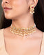 Brishta Choker And Shagun Tops Polki Set