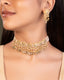 Jazima Choker And Swati Tops Polki Set