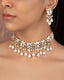 Serina Choker And Zeenat Long Earrings Polki And Diamond Set