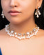 Anisha Choker And Diya Long Earrings Polki And Diamond Set