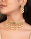 Vaishali Choker And Sabina Tops Polki Set
